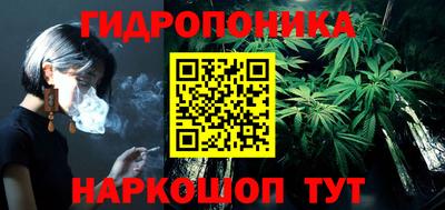 PSILOCYBIN Северобайкальск