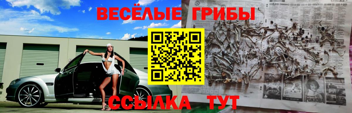 Галлюциногенные грибы мухоморы  Псилоцибиновые грибы Psilocybine cubensis  Октябрьский  Вход с VPN 
